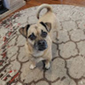 Meet your Posher, Martha